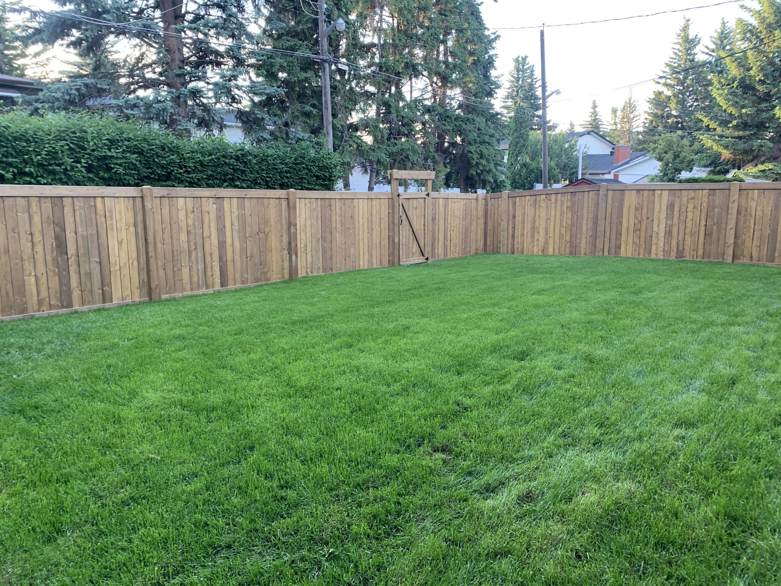 Lawn Care Edmonton